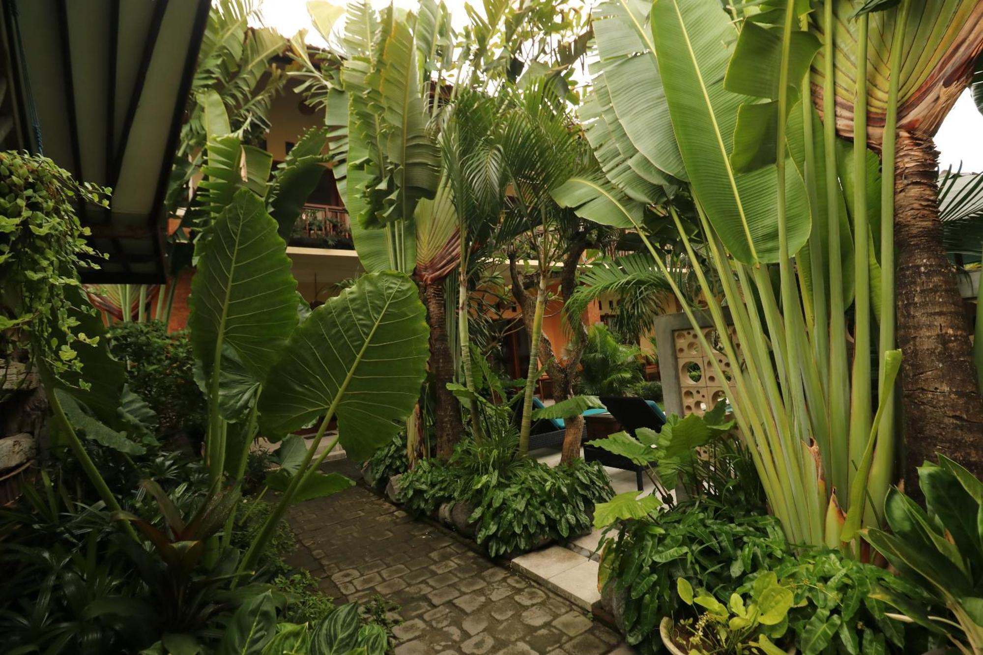 Mina Pelasa Hotel Legian Extérieur photo